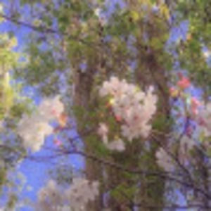 Meet your Posher, Callisto